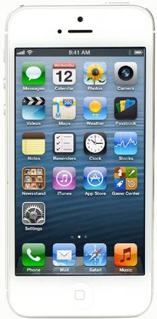Смартфон Apple iPhone 5 64Gb White & Silver - Чайковский
