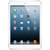 Apple iPad mini 16Gb Wi-Fi + Cellular белый - Чайковский