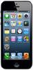 Смартфон Apple iPhone 5 16Gb Black & Slate - Чайковский