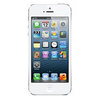 Apple iPhone 5 16Gb white - Чайковский