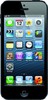 Apple iPhone 5 16GB - Чайковский